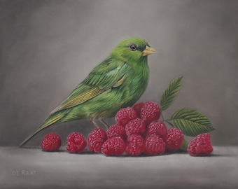 Green Bird and Raspberries. 14 x 11&quot; original coloured pencil drawing on Pastelmat paper. Archival prints also available.