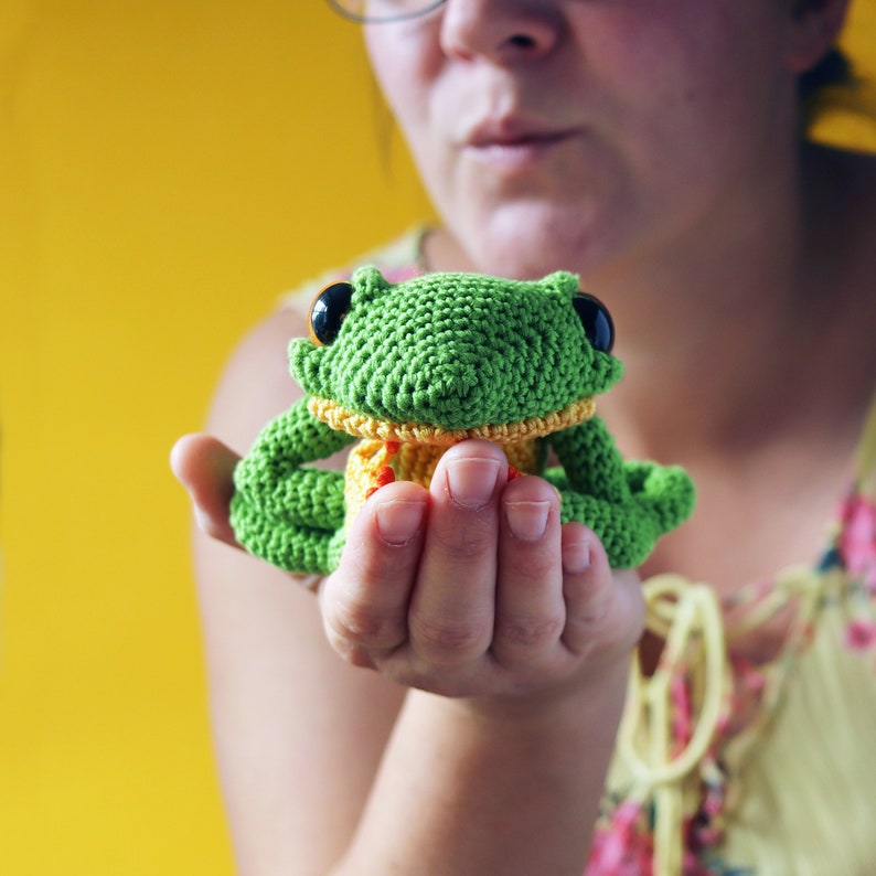 Ernest The Frog PDF amigurumi crochet pattern image 3