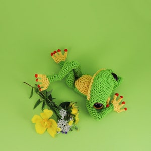Ernest The Frog PDF amigurumi crochet pattern image 5