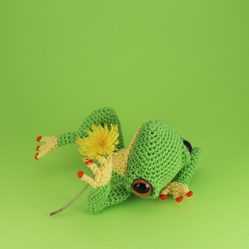 Ernest The Frog PDF amigurumi crochet pattern image 6
