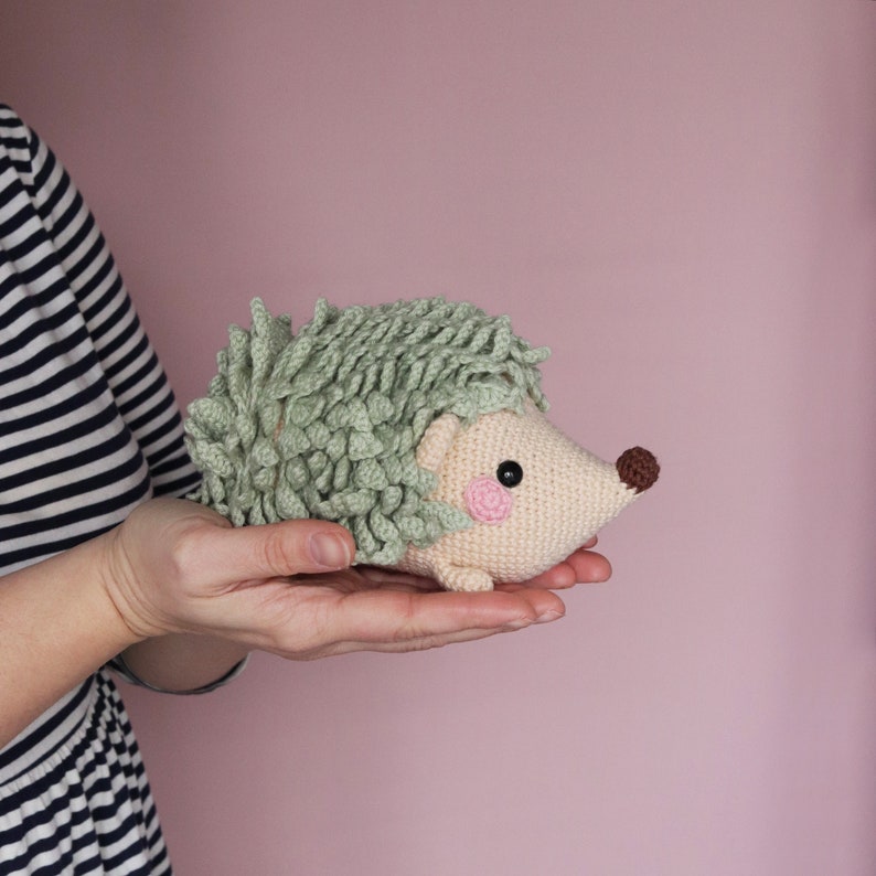 Posie The Hedgehog PDF eBook Irene Strange crochet pattern image 1