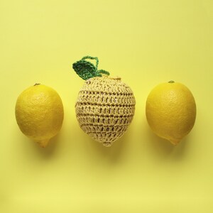 Cheeky Lemon Shopper US/UK Crochet Terms Pattern PDF image 7