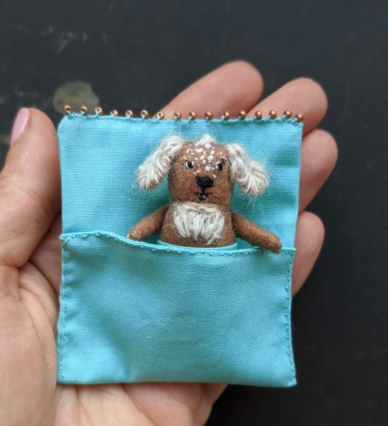 toy pocket