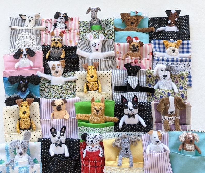 toy pocket