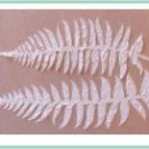 Plaster Fern Leaves Wall Stencil, Furniture Stencil