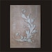 see more listings in the Plaster Stencils section