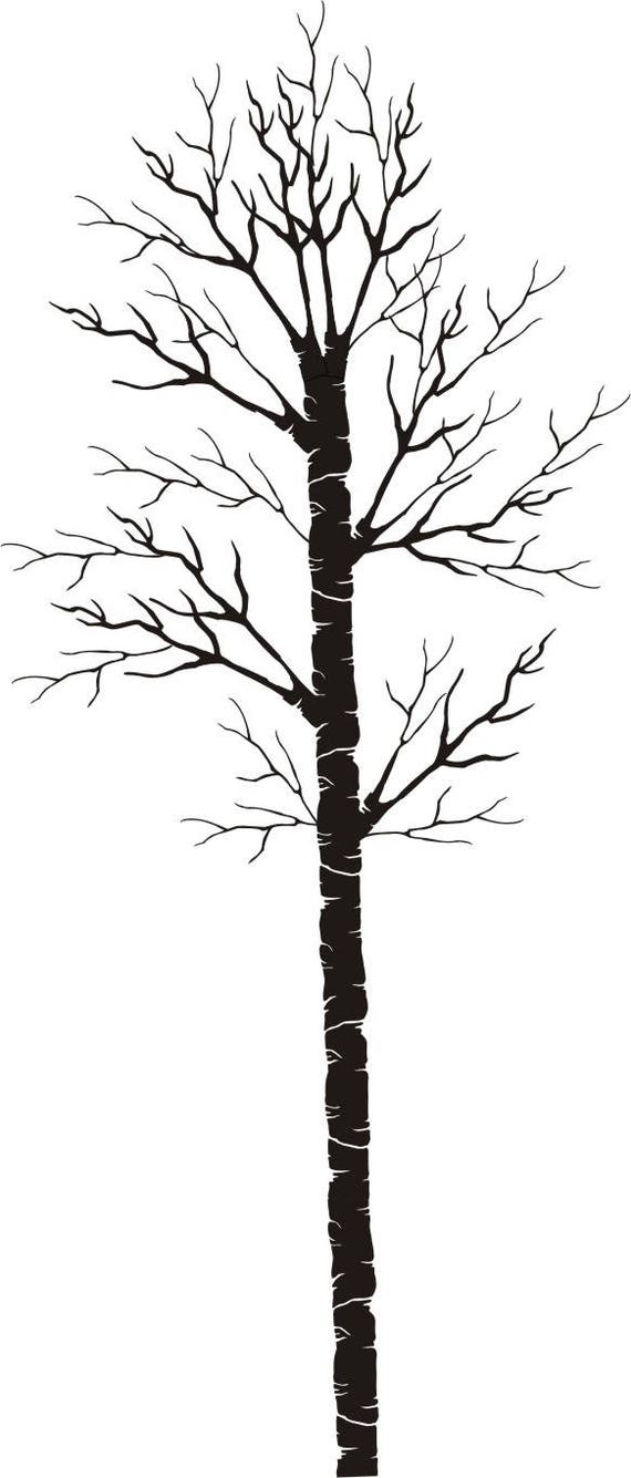 8 Pieces Reusable Tree Stencils Aspen Trees Stencils Reversed Branches  Stencils Painting Tree Template Plastic Drawing Stencils for Canvas Wood  Wall