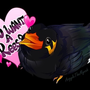 Puede incluir: Un pájaro negro con un pico naranja y marcas amarillas sostiene un corazón rosa que dice "¿Quieres un Keesa?" con corazones rosas más pequeños alrededor.
