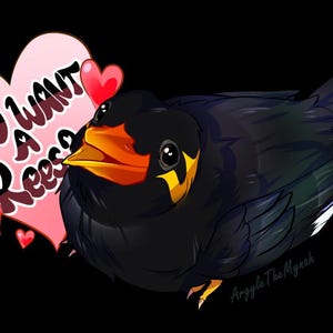 Puede incluir: Un pájaro negro de dibujos animados con acentos naranja y amarillo y un corazón rosa con el texto "You want a Reeso" en negro.