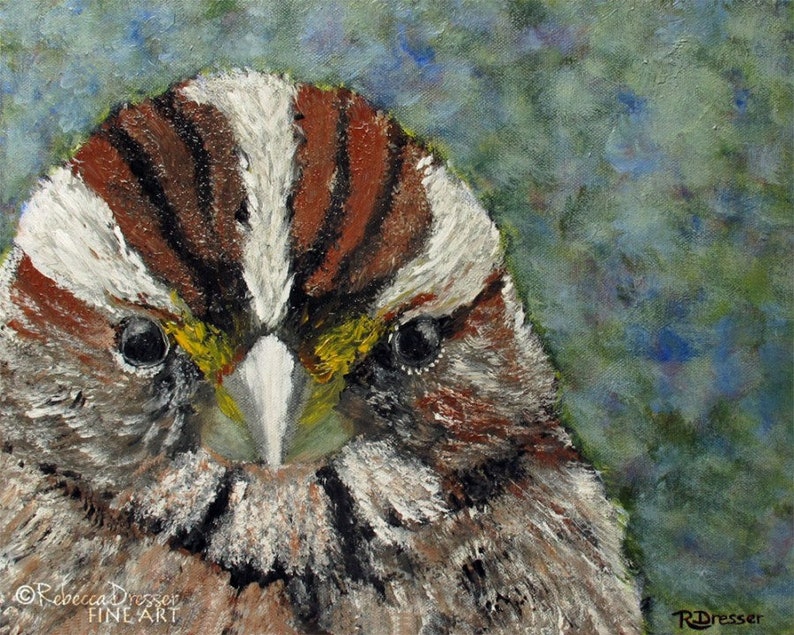 Bird Painting Contemporary Songbird Art Colorful Bird Art -Bird Home Decor Sparrow Portrait Acrylic on Canvas Modern Wall Decor