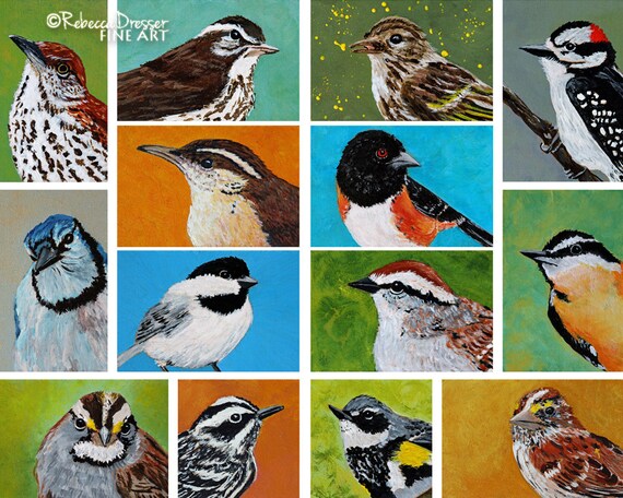 Colorful Bird Magnet Songbird Kitchen Decor Contemporary Etsy