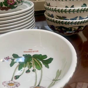Satz von neun Vintage Portmeirion Botanic Garden Dessert/Salatschalen mit Blattrand