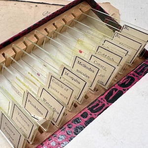 May include: A collection of glass microscope slides housed in a rectangular box with a black and pink patterned exterior. Each slide features a white paper label with printed text including Canary Feather, Trepang Spicules, Plankton, Water-flea, Cuticle of Spider wort, Mosquito, Melitodes spicules, and Gold fish.