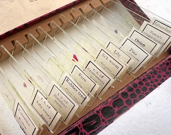 Lames de microscope vintage pour entomologie végétale, fabriquées au Japon