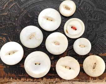 Carved Mother of Pearl Shell Buttons, 12 Vintage MOP Buttons,