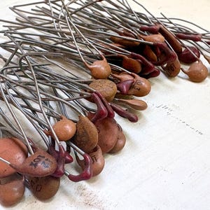 Peut inclure: Une collection de nombreux condensateurs céramiques en forme de disque brun avec de longs fils métalliques fins de couleur argentée. Chaque petit composant présente un corps rond avec le texte 103 imprimé en noir sur la surface brune.