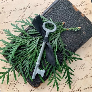 Vintage Skeleton Key