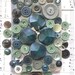 Forest Floor Vintage Buttons