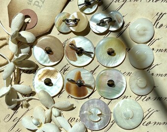 Vintage Set of 16 Assorted Mother of Pearl Shank Buttons