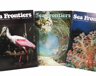 1970s Vintage Oceanographic Magazines SEA FRONTIERS Lot Of 12 Ocean Life Animals Fish Lighthouses Whaling Reefs Illustrated Free Shipping