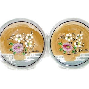 Pode incluir: Dois pratos pequenos, redondos, de cer&acirc;mica com uma borda azul clara e um centro castanho. Os pratos s&atilde;o decorados com um desenho floral com flores cor-de-rosa e brancas e folhas verdes. As flores s&atilde;o rodeadas por um anel de pontos brancos.