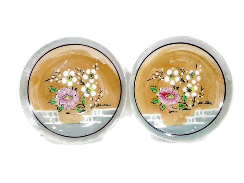 Pode incluir: Dois pratos pequenos, redondos, de cer&acirc;mica com uma borda azul clara e um centro castanho. Os pratos s&atilde;o decorados com um desenho floral com flores cor-de-rosa e brancas e folhas verdes. As flores s&atilde;o rodeadas por um anel de pontos brancos.