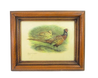 Vintage Pheasants Print Under Glass Game Bird Gallery Wall Art Dark Academia French Country Custom Framed Los Angeles Free Shipping