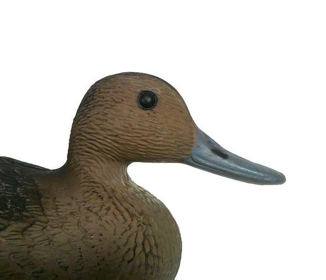 Vintage Inflatable Rubber Duck Decoy Drake Hen? Brown Grey White Green ...