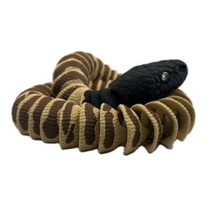 Schwarzkopfpython (Black Head Python) – Ein Stück australische Wildnis für dich!