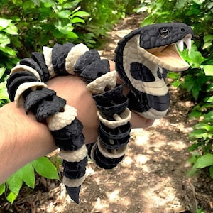 Koningscobra – De majestueuze slang voor uw verzameling!