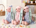 Personalized Bunny Rabbit, Custom Easter Bunny,Monogrammed Bunny with Name, Baby Shower Gift, Bunny Toy,Gift for Newborn Kids,Stuffed Animal