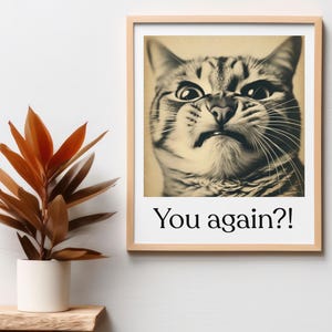 Sie wieder lustige Katzen Poster, funky Posterdruck, Katzenmem, Preppy Print, Katzenwandkunst, Geschenk für Katzenliebhaber, Katzendruck, Katzendrucke, Tierkunst