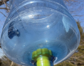 NEW STYLE** Bee Swarm Catcher Adapter: 5 Gallon Water Bottle to Extension Pole Connector (No Clamp Needed)