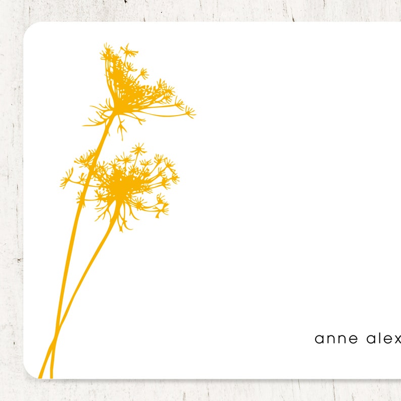 personalized note card set QUEEN ANNES LACE nature stationery flower stationery modern cards flat cards set of 12 image 5