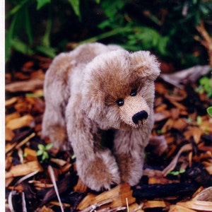 Könnte beinhalten: Ein brauner und beiger Teddybär mit weicher, flauschiger Textur. Der Bär steht auf einem Bett aus Holzspänen.