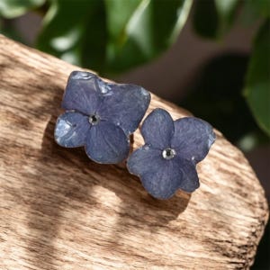 Peut inclure: Une paire de boucles d'oreilles à clous en forme de fleurs d'hortensia bleues. Chaque boucle d'oreille présente une fleur pressée délicate avec un centre argenté. Les boucles d'oreilles sont posées sur une surface en bois, avec un feuillage vert en arrière-plan.