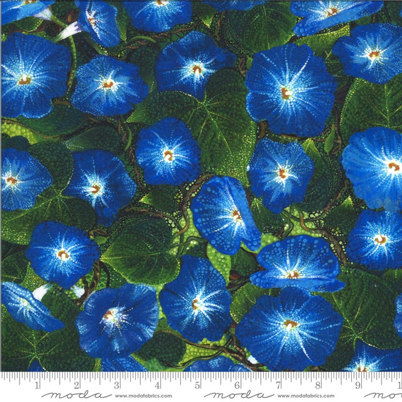 Dreamscapes Digital Multi 51242 11D by Ira Kennedy Morning Glory Multi Moda Fabric Fabric