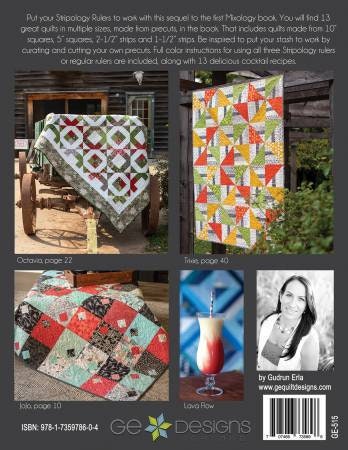 Stripology Squared Pattern Book by Gudrun Erla 602401903807 - Quilt in a  Day Patterns