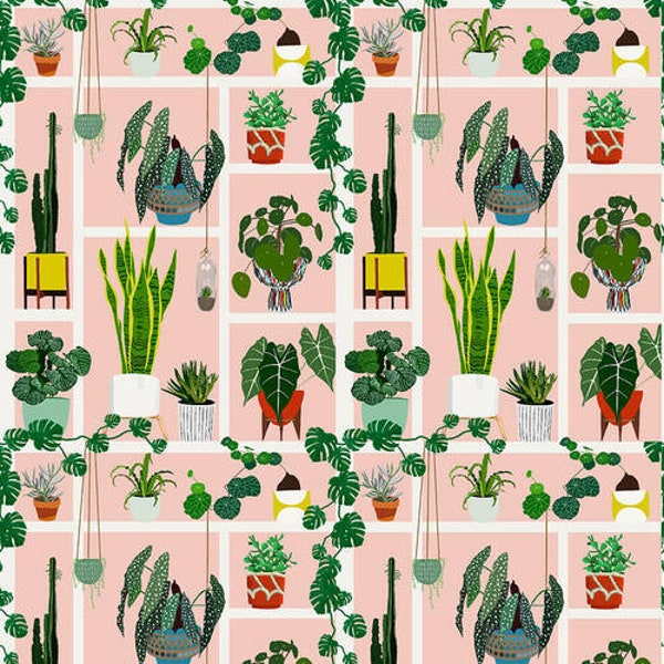 Fabric - Blank Quilting - Plant Display - 2079-22 Lt. Pink Green -You Grow Girl - Jen Bucheli