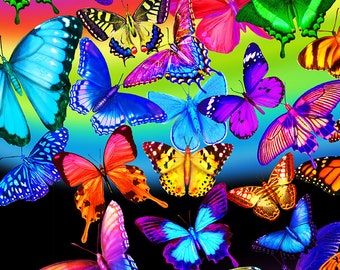 app 2 colours Cotton fabric 140cm wide dobby butterflies 