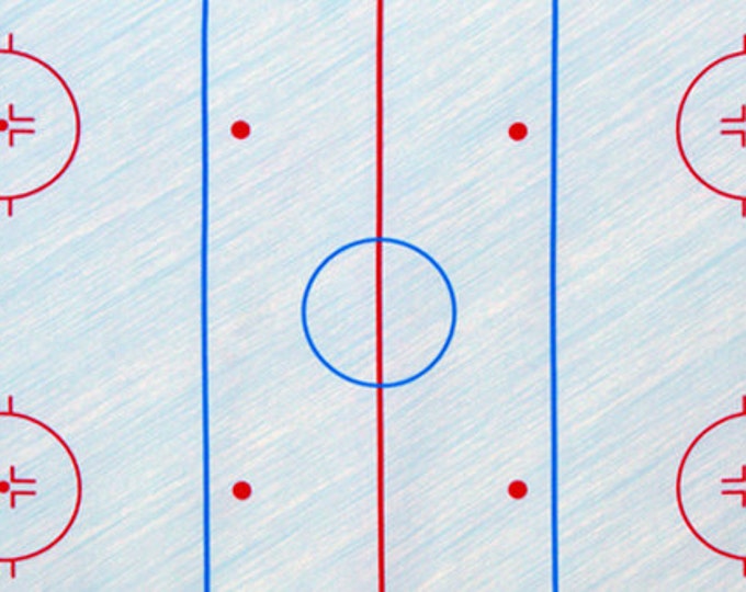 Fabric Kaufman HOCKEY ARENA PANEL Winter Ice Sports Life Collection Etsy