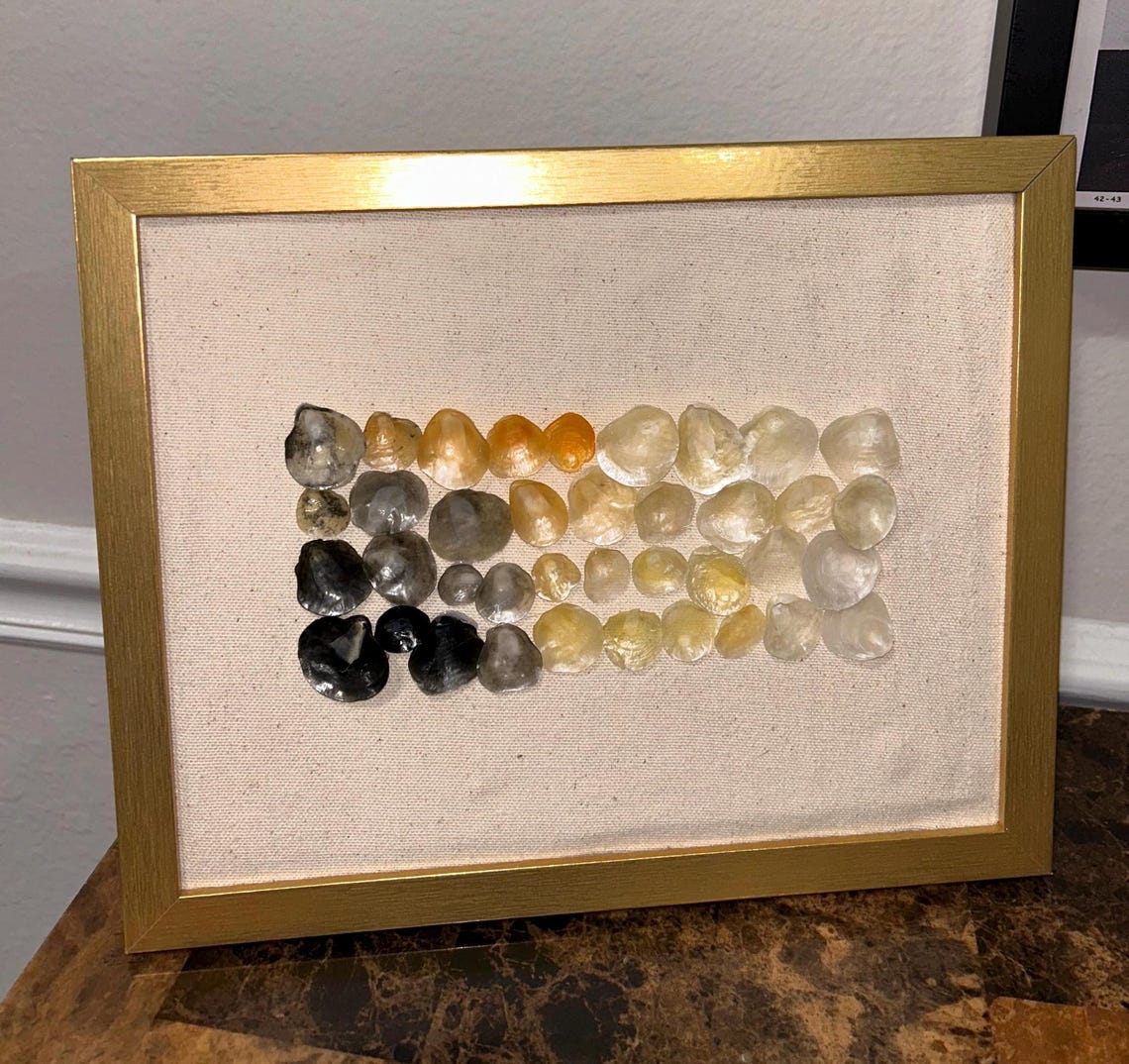 Jingle Shell Mosaic Art: Florida Seashells in Gold Frame (8x10) - Etsy