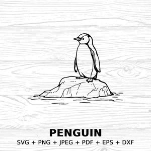 Penguin SVG Digital Download, PNG JPEG pdf eps dxf Penguin Clipart for Crafts, Penguin Vector File , Diy Penguin Art, Commercial license