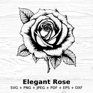 Rose Flower Vector Clipart Digital Download, Botanical Floral Gift for DIY Printable Wall Art Rose Cut File, SVG PNG Jpeg Pdf Eps Dxf Files