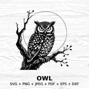 Owl Clipart Digital Download, SVG PNG JPEG pdf eps dxf Files, Owl Design, Woodland Forest Animal Art, Instant Download, Commercial license