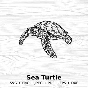 Sea Turtle Illustration, Instant Digital Download, SVG, PNG, JPEG, pdf eps dxf files, diy Vector Art for crafts, Sea Life Decor Stencil