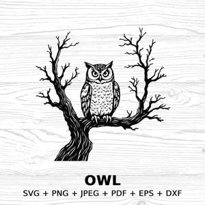 Owl moon Clipart Digital Download, SVG PNG JPEG pdf eps dxf Files, Owl Design, Woodland Forest Animal Art, Commercial license