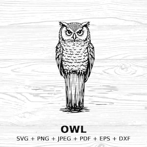 Cute Owl Clipart Digital Download, SVG PNG JPEG pdf eps dxf Files, Owl Design, Woodland Forest Animal Art, Commercial license