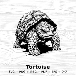 Tortoise Illustration, Turtle Clipart Instant Digital Download, svg png jpeg pdf eps dxf File Formats, Digital Art, DIY Printable Artwork