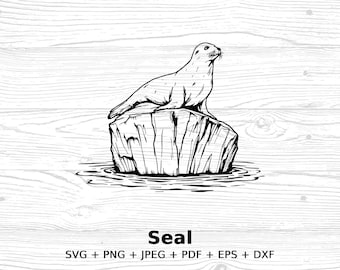 Cute Seal Vector Clipart, Digital Download, Arctic Iceberg Seal Illustration, Sea Life Animal Wall Art, SVG PNG Jpeg Pdf Eps Dxf Files